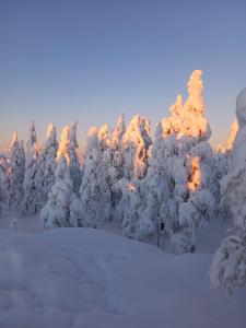 Το Arctic- apartment Evakko τον χειμώνα