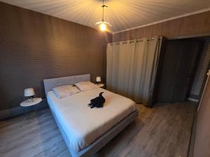 a black cat sitting on a bed in a bedroom at Maison du bonheur in Montier-en-Der