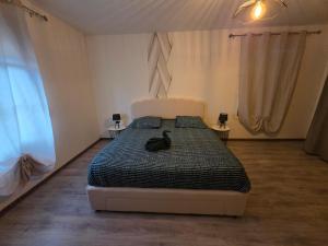 a bedroom with a large bed in a room at Maison du bonheur in Montier-en-Der