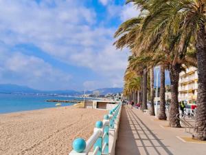 a beach with palm trees and a sidewalk at Apparemment cosy avec balcon plein centre de Cannes - Carla home in Cannes