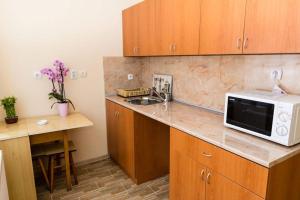 a kitchen with a sink and a microwave on a counter at Guest House Elena in Velingrad