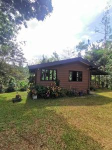 a small house with a yard at Cabaña AMOTO in Turrialba