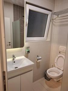 a bathroom with a sink and a toilet and a mirror at VilaMihaela in Skopje