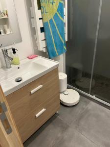 a bathroom with a sink and a toilet at 1930 house in La Marbellière, 2 bedrooms in Joue-les-Tours