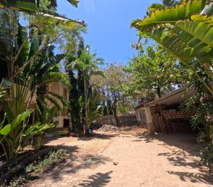 a dirt road in front of a house with trees at Masai 4 in Diani Beach