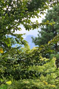 - une vue sur la montagne à travers les feuilles d'arbres dans l'établissement Mio Apartament Z Ogródkiem Zakopane Kościelisko Free Parking, à Zakopane