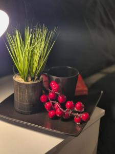 バーミンガムにあるScarlet-Birm City Centre, Free Secure Parking, 2 bedroomの赤いベリーと鉢植えの植物が入った黒いトレイ