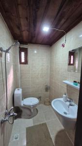 a bathroom with a toilet and a sink at Turgut Reis Konak in Safranbolu