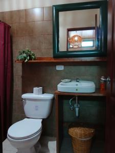 a bathroom with a toilet and a sink and a mirror at Hostal Don Miguel in Rivas