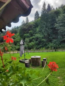 En have udenfor Cabana Valea Muntelui