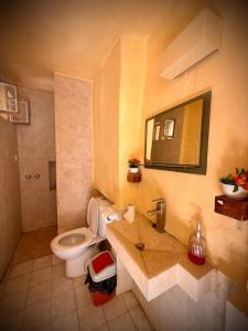 a bathroom with a toilet and a sink and a mirror at Dana Gardens Hotel in Dana