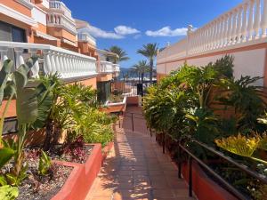 Κήπος έξω από το Seafront Royal Garden The View