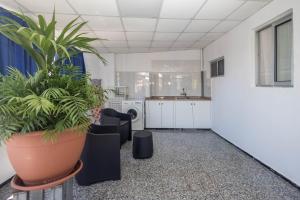 an empty office with plants in a large pot at Apartamentos L O L A Arguineguin in Arguineguín +77 photos