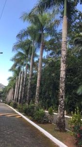 a row of palm trees on the side of a road at Casa Park Imperial 