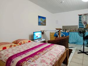 a bedroom with a bed and a television in it at Le Milano in Kourou