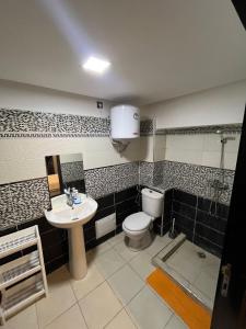 马拉喀什Appart hotel ali的带马桶和水槽的浴室