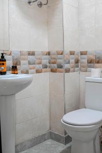 马拉喀什Appart hotel ali的带马桶、水槽和淋浴的浴室 更多39张照片