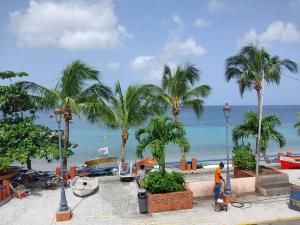 a man standing next to a beach with palm trees at Tiatia T3 in Les Anses-dʼArlets