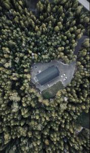 Άποψη από ψηλά του Modern Paradise in the Forest - Bruce Peninsula