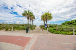 a dirt road with palm trees on the side of a road at Casablanca Residences Miami Beach in Miami Beach