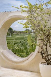 a tree in a pot next to a concrete wall at Rumah Simba in Munggu