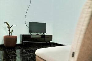 a living room with a tv and a potted plant at Desa Huis Yogyakarta in Gandok