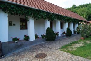 Cseresznyés Vendégház 3411 Szomolya, Hunyadi út 35 kép - 2