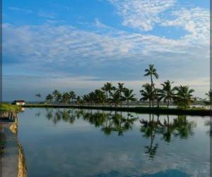 a large body of water with palm trees in the background at Chillout home stay in Ernakulam