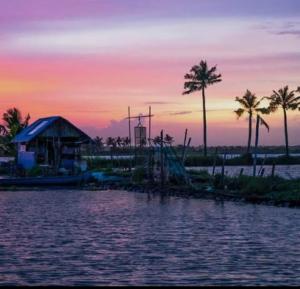 a sunset over a body of water with palm trees at Chillout home stay in Ernakulam +11 photos