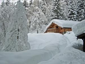 un árbol cubierto de nieve frente a una cabaña en Marmotte Mountain Retreat, en Chamonix-Mont-Blanc