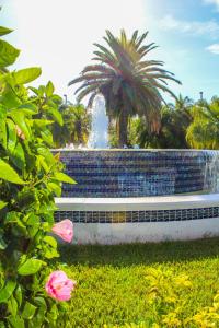 Сад в The Resort on Cocoa Beach