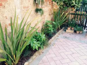 einen Garten mit Topfpflanzen und einem Zaun in der Unterkunft Mood-Siro Comi in Pavia