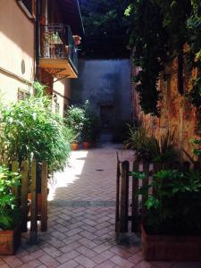 einen Innenhof mit Pflanzen und einen Balkon auf einem Gebäude in der Unterkunft Mood-Siro Comi in Pavia