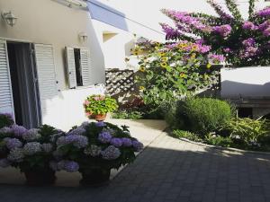 Zahrada ubytování Apartments Kekica