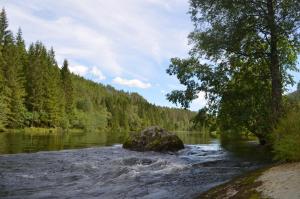 Gallery image of Døskelandslia Camping in Sygna