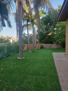 a yard with palm trees and a fence at בקתה על הנחל in Yuval +3 photos