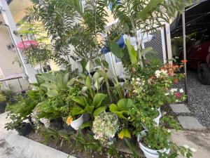 un bouquet de plantes et de fleurs dans un jardin dans l'établissement The Airport Guest House by Casa Brisa, à Davao