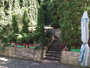 Ogród w obiekcie Villa Almira