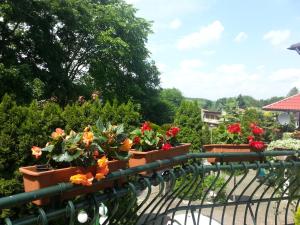 Ogród w obiekcie Villa Almira