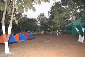 a group of tents in a field next to trees at Moonwake Xotika in Karjat