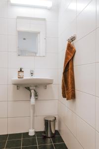 un baño con lavabo y espejo en Ski in/Ski | Sauna | WiFi | Terrace, en Lofsdalen
