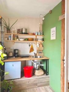 una cucina con pareti verdi e bancone con lavandino di Fuchsbau In Der Ktv a Gehlsdorf Altre 2 foto