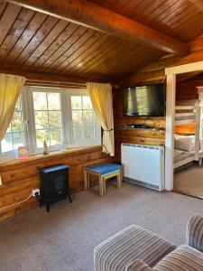 a living room with a couch and a tv in a cabin at Eryri Retreat in Trawsfynydd