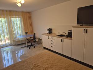 a room with a kitchen with a table and a tv at Casa Albinelor - Cameră 2 persoane in Braşov