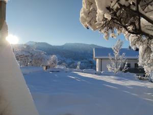 Příroda nedaleko apartmánu + 9 fotografií