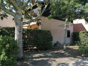 ein Haus mit zwei Bäumen davor in der Unterkunft Maison entre lac et océan WIFI in Lacanau