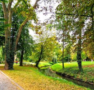 a path in a park with a river and trees at Hemich-Esch in Velen