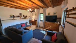 Una sala de estar con sofás y un televisor de pantalla plana. en Pilisca Holiday Home, en Dobîrlău