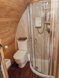 a bathroom with a toilet and a shower at Strathyre Camping Pods in Strathyre