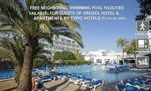 a resort swimming pool with chairs and a palm tree at Apartamentos Orosol 2 by Typic Hotels in San Antonio